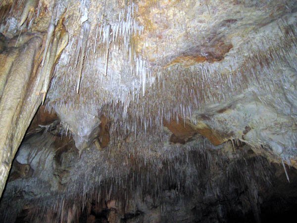 image 19-assorted-speleothems-on-cave-ceiling-jpg