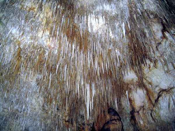 image 28-helectites-stalactites-and-straws-on-cave-ceiling-jpg