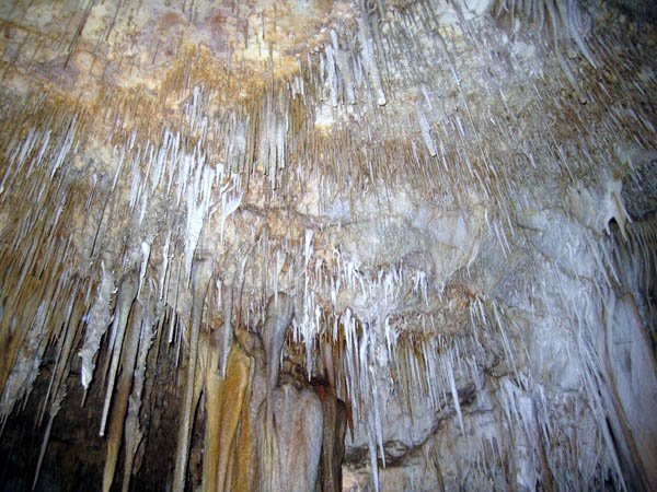 image 49-speleothems-on-cave-ceiling-jpg