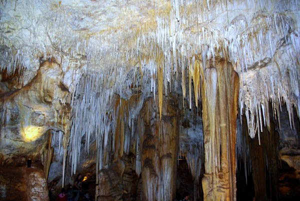 image 51-speleothems-on-cave-ceiling-jpg