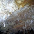 image 20-shawl-straws-and-stalactite-formations-on-cave-ceiling-jpg