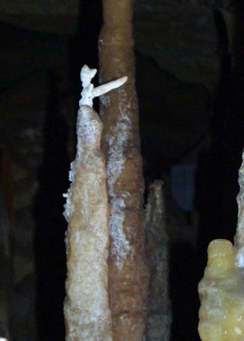image 18-helectite-on-top-of-a-stalagmite-jpg