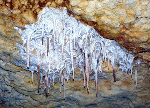 image 40-limestone-stalactites-on-cave-ceiling-jpg