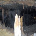 Victoria Fossil Cave - Naracoorte, SOUTH AUSTRALIA