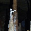 image 18-helectite-on-top-of-a-stalagmite-jpg