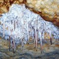 image 40-limestone-stalactites-on-cave-ceiling-jpg