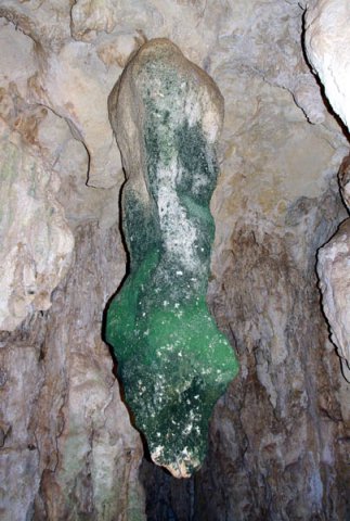 image 37-damp-green-side-of-large-stalactite-jpg