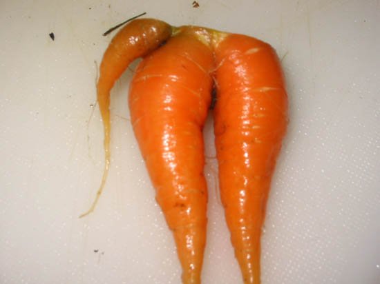 image carrot-ninas-funky-homegrown-jpg