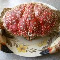 image king-crab-small-3-5kg-jpg