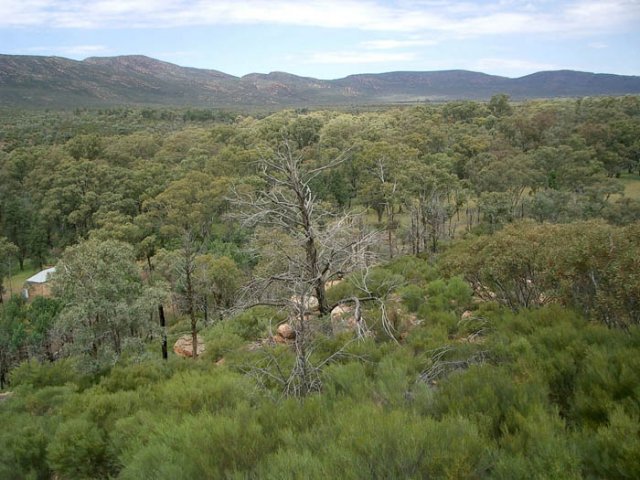 image 041-another-view-of-wilpena-pound-from-wangara-lookout-jpg