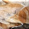 image 013-aboriginal-rock-painting-site-1b-tn-retry-jpg