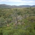 image 041-another-view-of-wilpena-pound-from-wangara-lookout-jpg