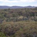 image 042-looking-down-into-wilpena-pound-from-wangara-lookout-jpg