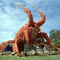 image 056-the-big-lobster-kingston-s-e-jpg