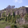 image 062-front-of-tantanoola-caves-1-jpg
