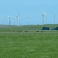 image 077-codrington-wind-farm-victoria-jpg