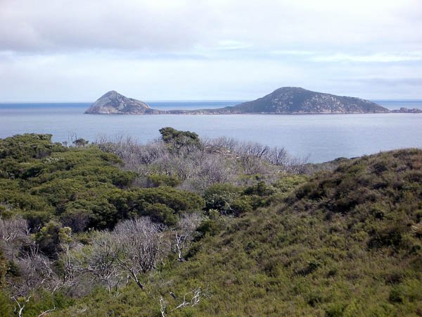 image 099-norman-island-from-glennie-lookout-jpg