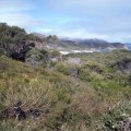 image 100-squeaky-beach-from-glennie-lookout-jpg