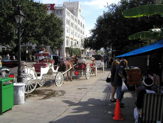 image 038-more-of-them-here-in-jackson-square-jpg