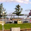 image 045-view-of-the-mississippi-river-from-wa-artillery-park-jpg
