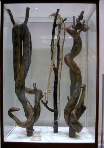 image 059-reticulated-python-specimens-jpg