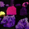 image 045-glow-in-the-dark-minerals-display-jpg