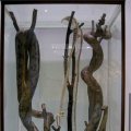image 059-reticulated-python-specimens-jpg