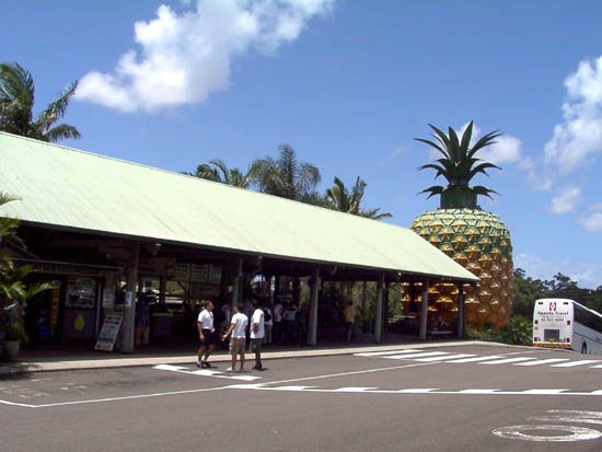 image big-pineapple-01-jpg