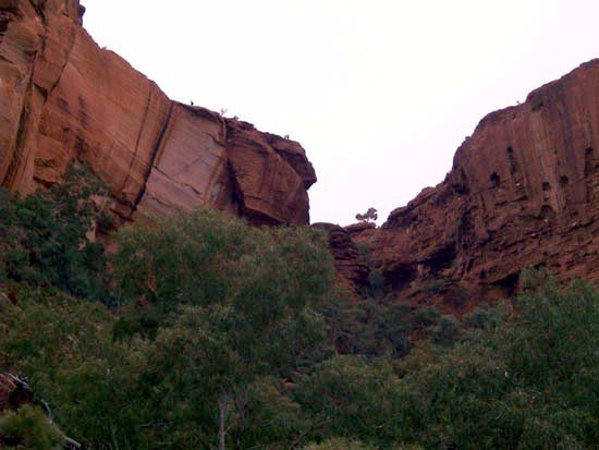 image 022-nt-kings-canyon-western-end-of-george-gill-range-310-km-by-road-from-alice-springs-jpg