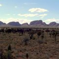image 016-nt-the-olgas-a-collection-of-rounded-rocks-rising-from-the-spinifex-covered-plains-jpg