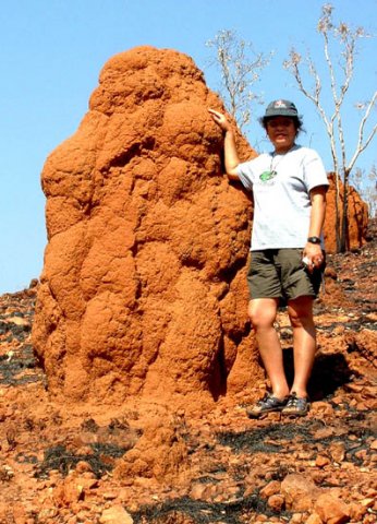 image 067-one-of-numerous-termite-mounds-in-the-bungle-bungle-jpg