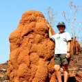 image 067-one-of-numerous-termite-mounds-in-the-bungle-bungle-jpg