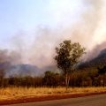 image 082-nt-bushfire-just-outside-katherine-jpg