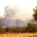 image 084-nt-bushfire-on-the-road-to-tennant-creek-jpg