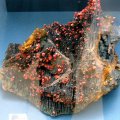 image red-vanadinite-on-goethite-morocco-jpg