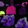 image zany-glow-in-the-dark-minerals-display-jpg