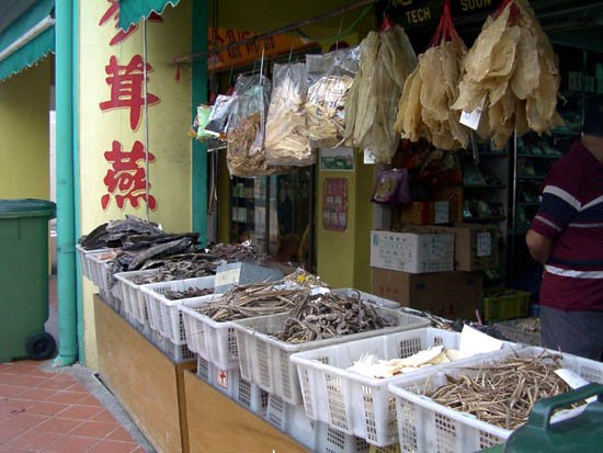 image 006-chinatown-chinese-medical-store-display-2-jpg