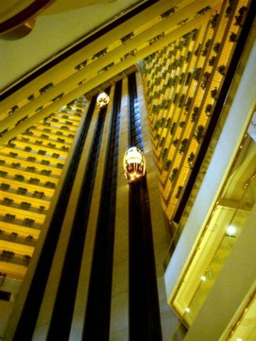 image 005-looking-up-from-foyer-jpg