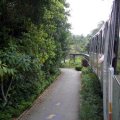 image 104-monorail-ride-on-sentosa-jpg