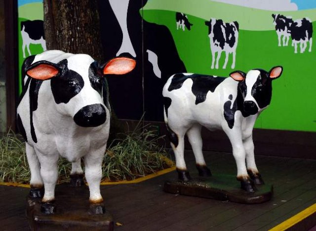 image 05-cows-statues-jpg