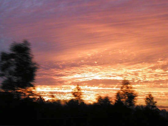 image 038-gold-coast-sunset-jpg