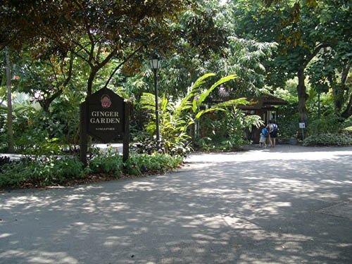 image 001-singapore-botanic-gardens-jpg