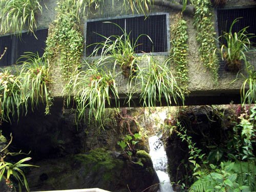image 043-waterfall-inside-cool-house-jpg
