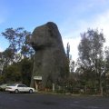 image dadswell-bridge-giant-koala-jpg