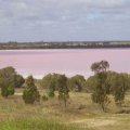 image gerang-gerung-pink-lake-3-jpg