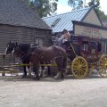 image sovereign-hill-horse-n-carriage-1-jpg