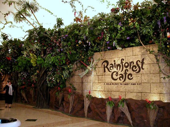 image 049-seattle-rainforest-cafe-1-jpg