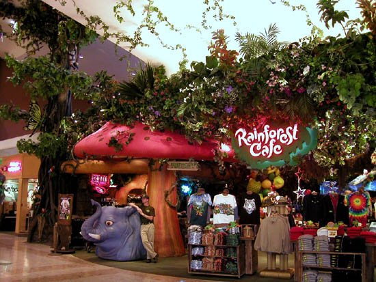 image 050-rainforest-cafe-2-jpg