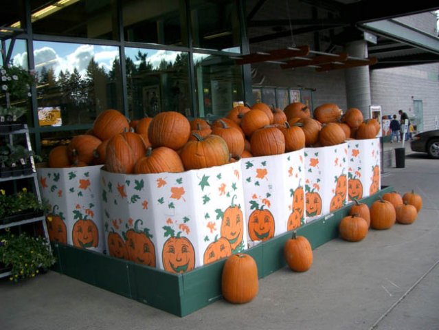 image 003-pumpkins-4-halloween-10-oct-jpg