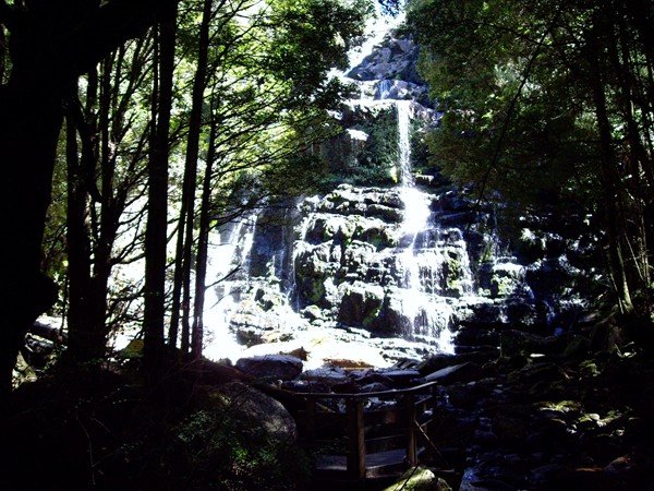 image nelson-falls-2007-franklin-gordon-wild-rivers-national-park-tas-jpg